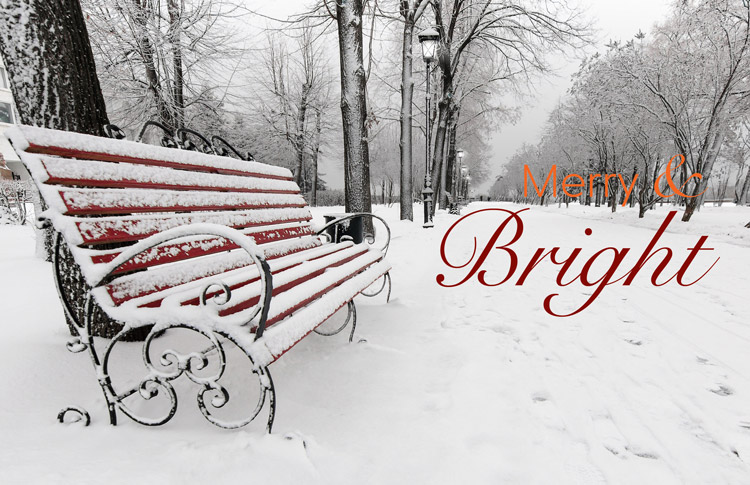 Happy Holidays from SRF Consulting