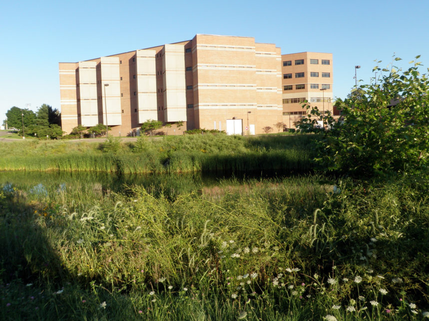 Washington County Government Center Stormwater Management