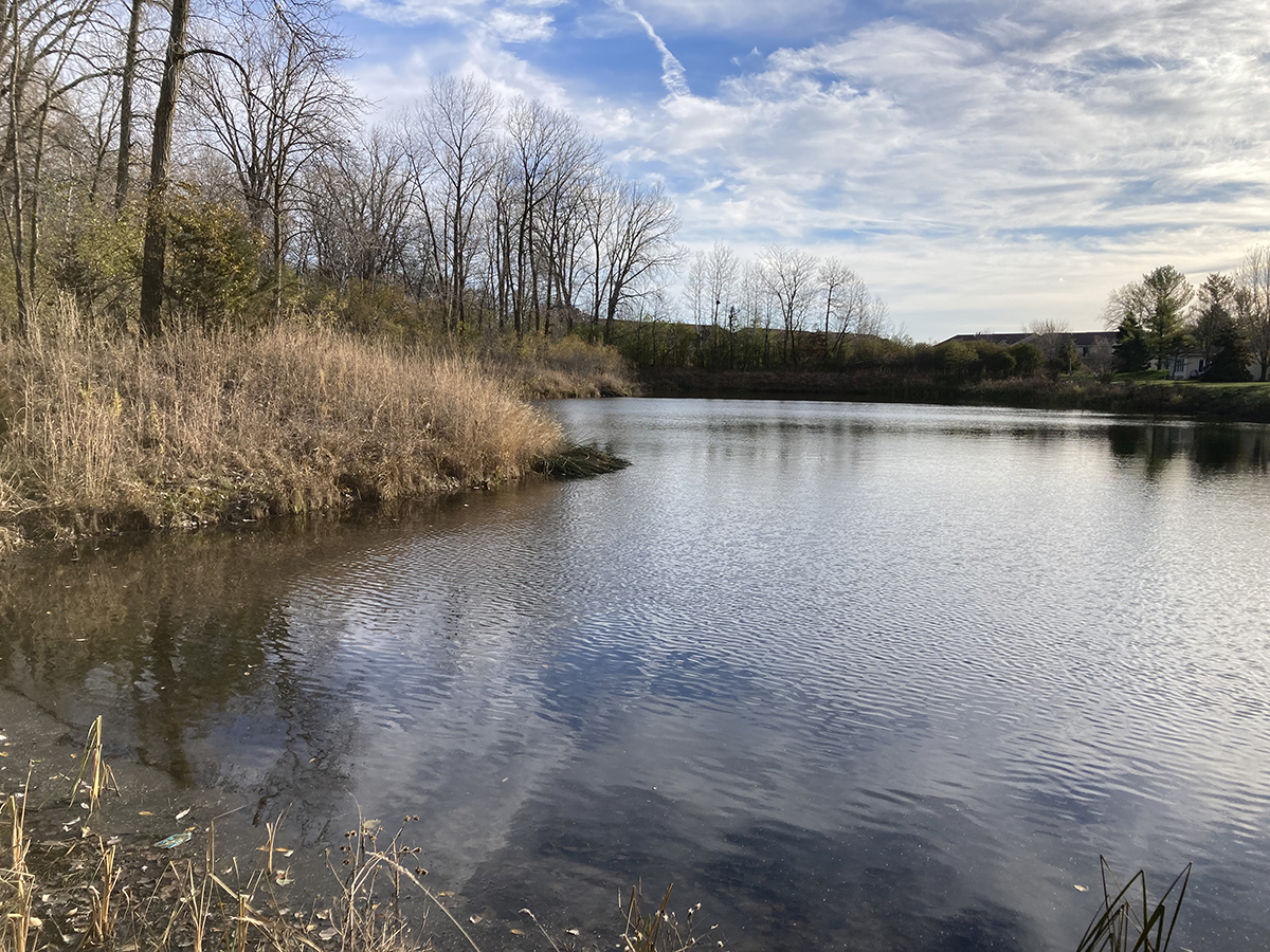 East Vadnais Lake Subwatershed Resiliency Study
